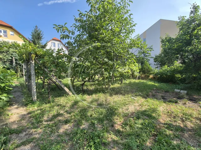 Eladó lakás Pécs, Szigeti külváros, Szigeti út 118 nm