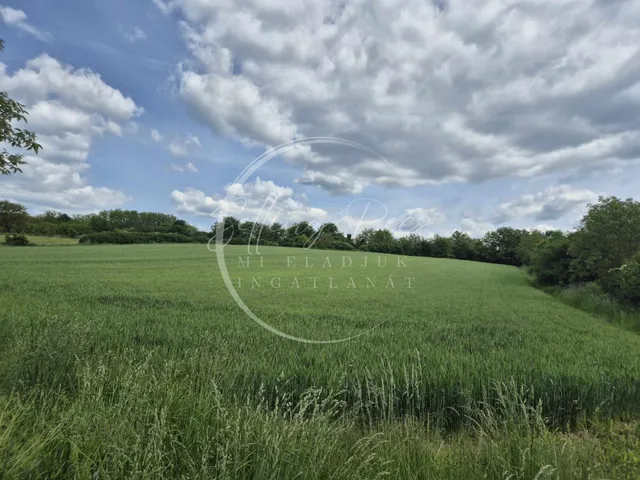 Eladó ház Somogyhárságy 80 nm