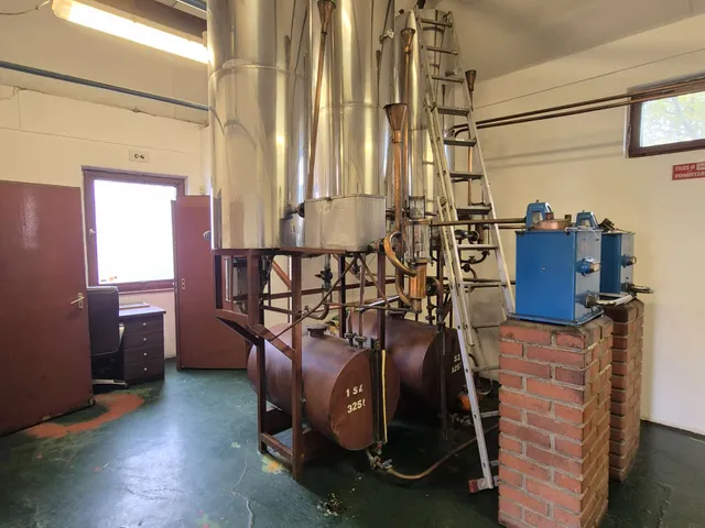 Eladó kereskedelmi és ipari ingatlan Pécs, Budai városrész 100 nm