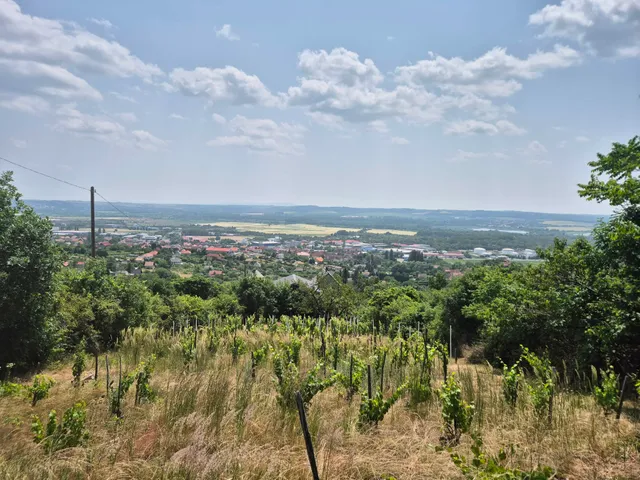 Eladó telek Pécs, Patacs 1200 nm
