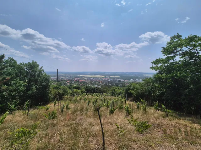Eladó telek Pécs, Patacs, Rizling dűlő 1200 nm