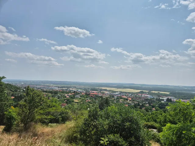Eladó telek Pécs, Patacs, Rizling dűlő 1200 nm