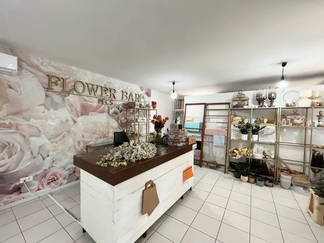 Eladó kereskedelmi és ipari ingatlan Pécs, Szigeti külváros 56 nm