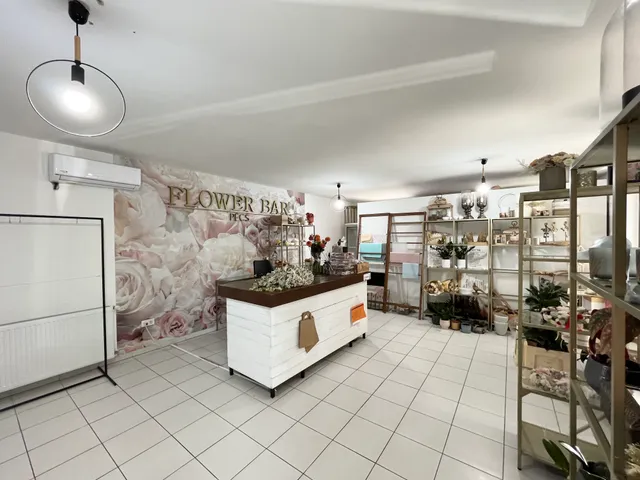 Eladó kereskedelmi és ipari ingatlan Pécs, Szigeti külváros, Szigeti út 56 nm