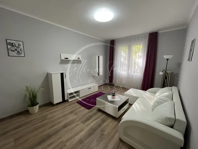 Kiadó lakás Pécs, Uránváros 60 nm