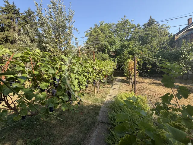 Eladó ház Pécs, Budai külváros, torda utca 93 nm