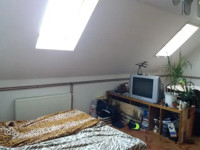 Eladó kereskedelmi és ipari ingatlan Halásztelek 225 nm