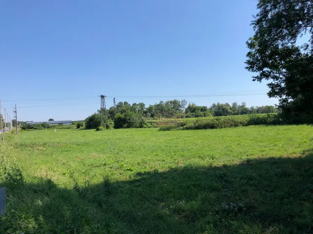 Eladó telek Fertőendréd 4998 nm