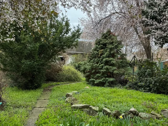 Eladó ház Szeged, Újszeged 450 nm