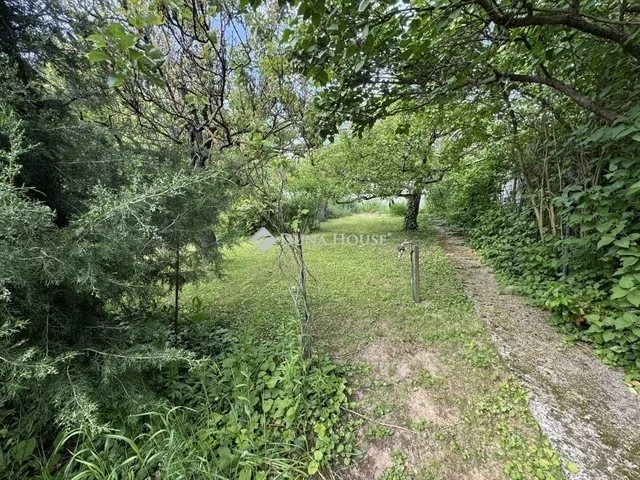 Eladó ház Budakeszi 370 nm