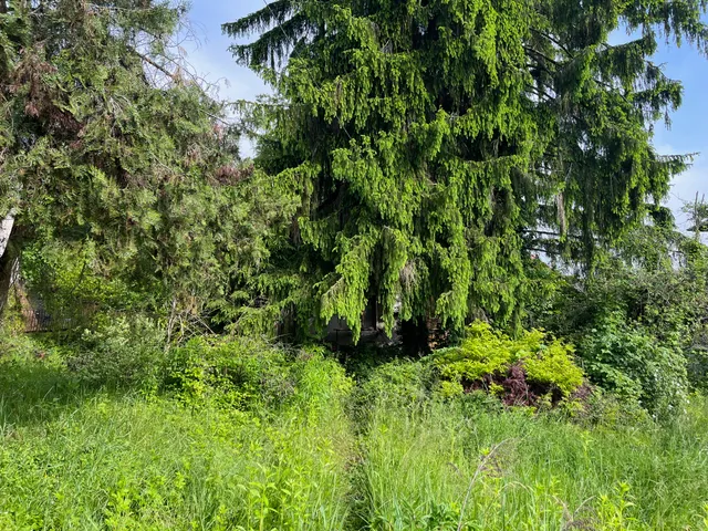 Eladó telek Budapest II. kerület, Széphalom, Muhar 666 nm