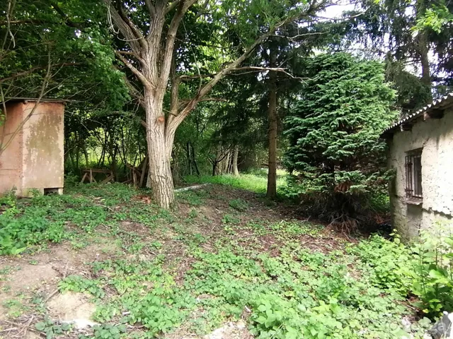 Eladó telek Zalaegerszeg, Vorhota 1209 nm