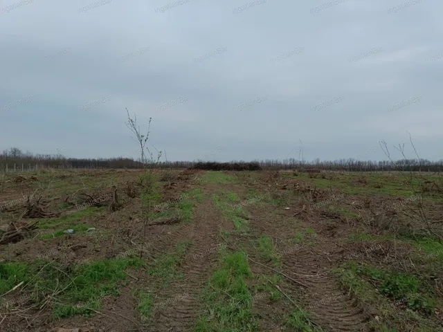 Eladó telek Nyíregyháza 38097 nm