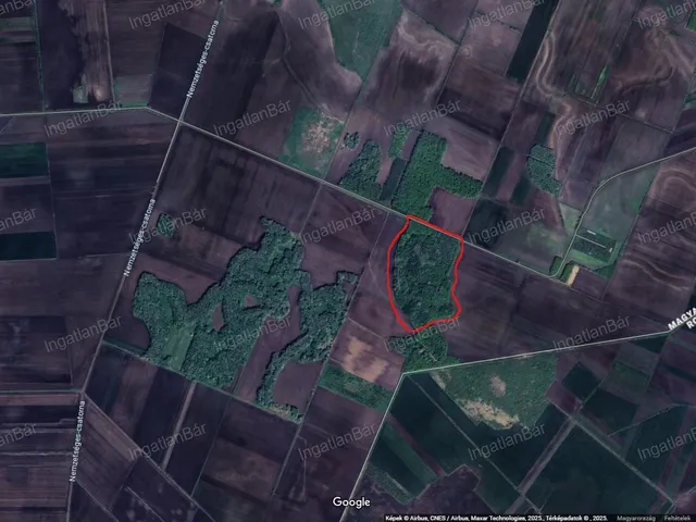 Eladó mezőgazdasági ingatlan Tiborszállás 113000 nm