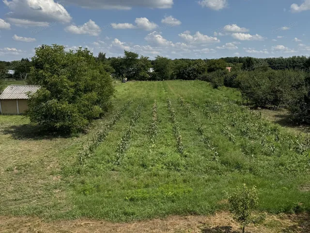 Eladó ház Nyíregyháza, Sóstóhegy 149 nm