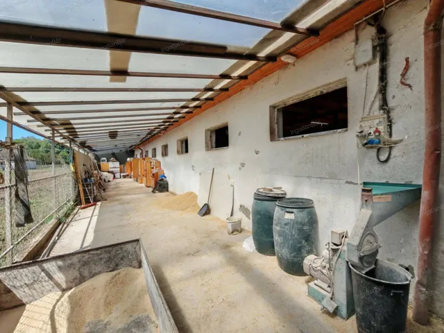 Eladó mezőgazdasági ingatlan Nyíregyháza 4600 nm