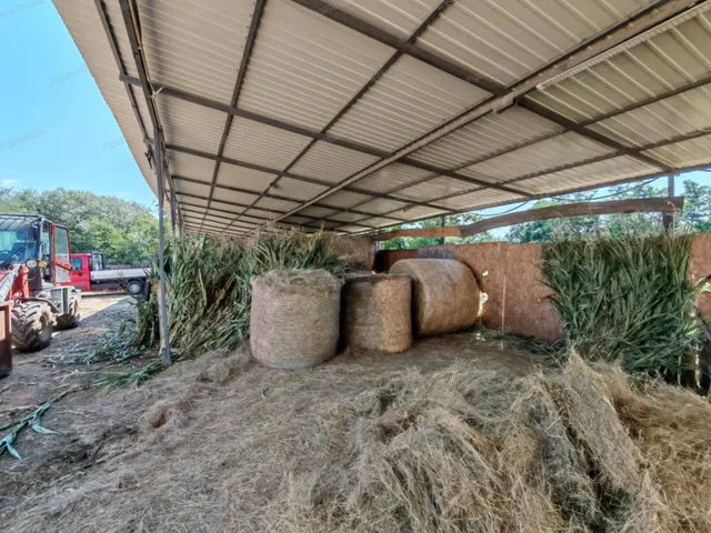 Eladó mezőgazdasági ingatlan Nyíregyháza 4600 nm