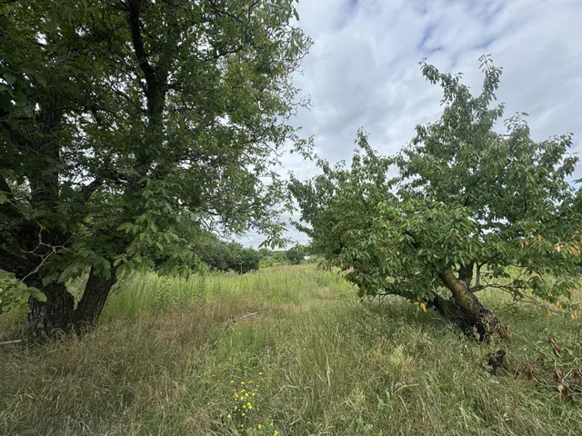 Eladó telek Nyíregyháza 3600 nm