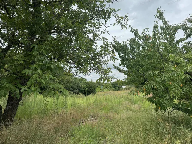 Eladó telek Nyíregyháza 3600 nm