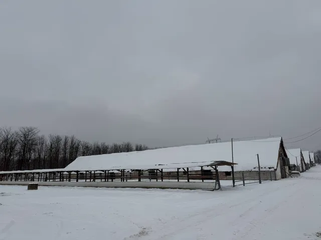 Eladó kereskedelmi és ipari ingatlan Geszteréd 2010 nm