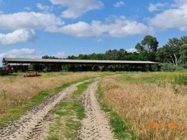 Eladó mezőgazdasági ingatlan Mikepércs 6305 nm