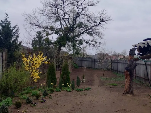 Eladó ház Kisvárda 60 nm