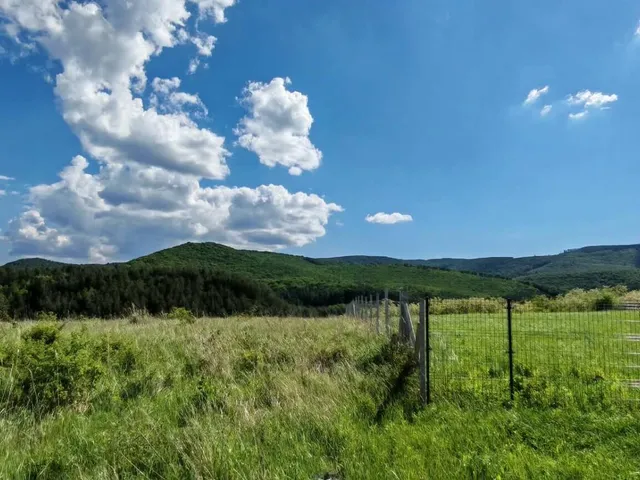 Eladó telek Erdőbénye 1300 nm