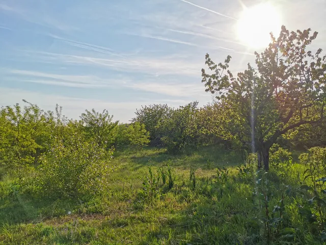 Eladó mezőgazdasági ingatlan Törökbálint, Annahegy 20000 nm