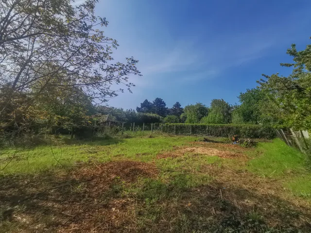 Eladó telek Velence, Bencehegy, Csemete utca 1370 nm