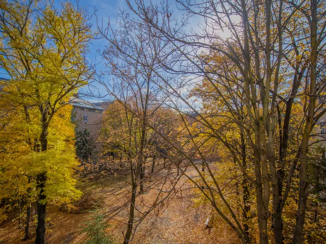 Eladó lakás Budapest XIV. kerület, Nagyzugló, Bolgárkertész utca 49 nm