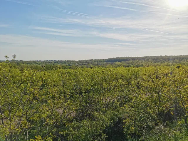 Eladó mezőgazdasági ingatlan Törökbálint, Annahegy 20000 nm