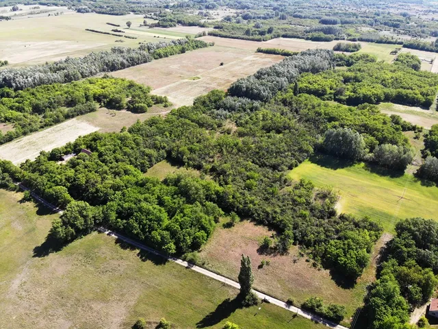 Eladó mezőgazdasági ingatlan Fülöpháza 60 nm