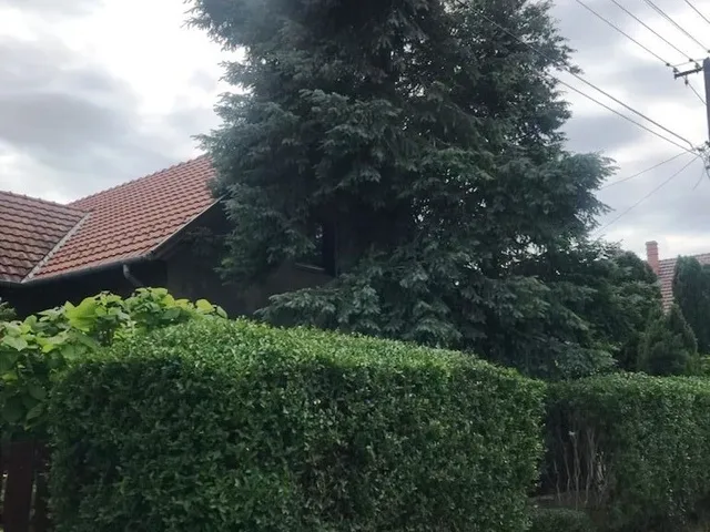 Eladó ház Lakitelek 78 nm