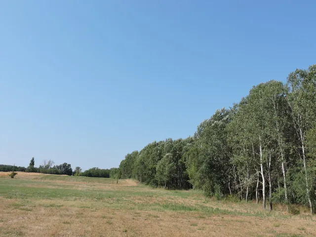 Eladó mezőgazdasági ingatlan Kerekegyháza 120500 nm