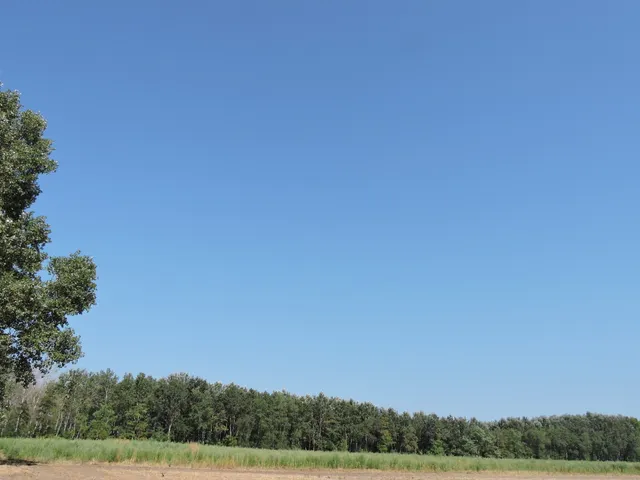 Eladó mezőgazdasági ingatlan Kerekegyháza 120500 nm