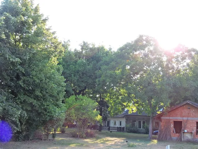 Eladó ház Kecskemét, Katonatelep 230 nm