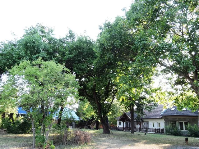 Eladó ház Kecskemét, Katonatelep 230 nm