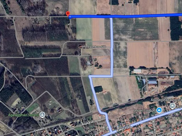 Eladó mezőgazdasági ingatlan Ágasegyháza 80 nm