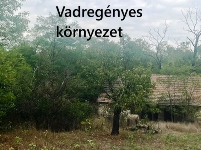 Eladó mezőgazdasági ingatlan Ágasegyháza 80 nm