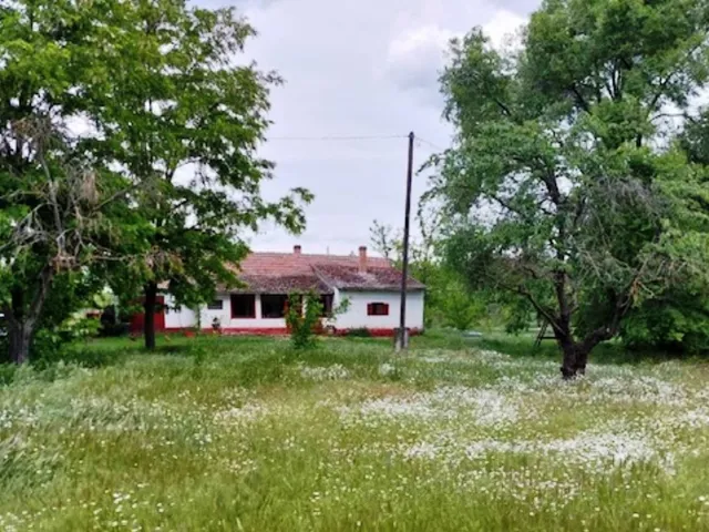 Eladó mezőgazdasági ingatlan Borota 100 nm