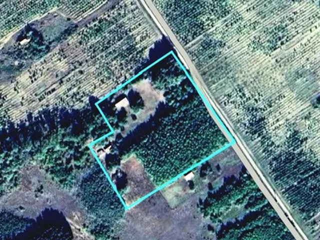 Eladó mezőgazdasági ingatlan Borota 100 nm