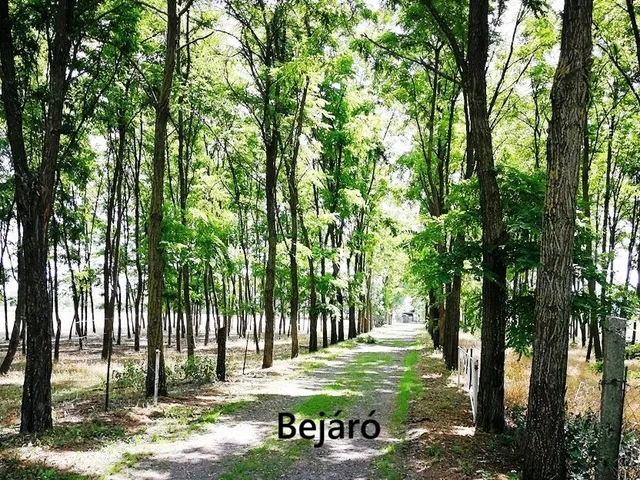 Eladó ház Kiskunfélegyháza 240 nm