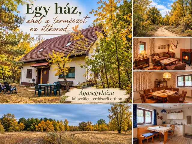 Eladó ház Ágasegyháza 91 nm