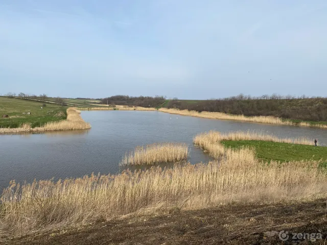 Eladó mezőgazdasági ingatlan Mezőszilas, 1 50000 nm