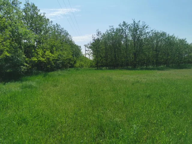 Eladó telek Szigetszentmiklós 8542 nm
