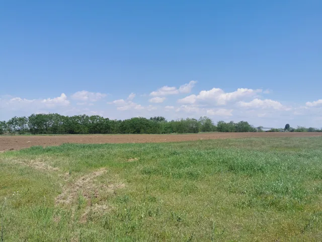 Eladó telek Szigetszentmiklós 8542 nm