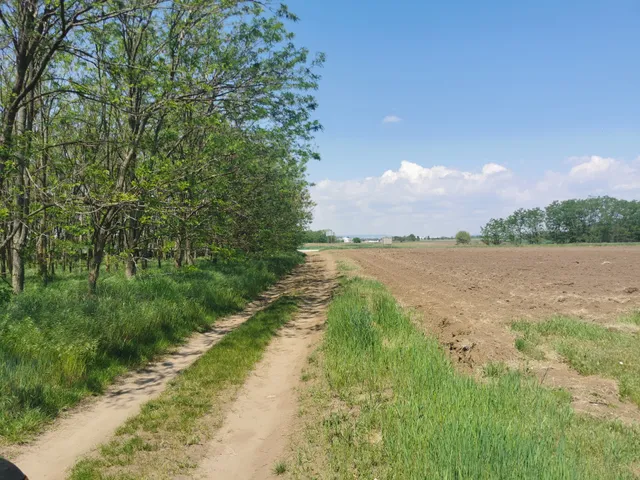 Eladó telek Alsónémedi 44000 nm