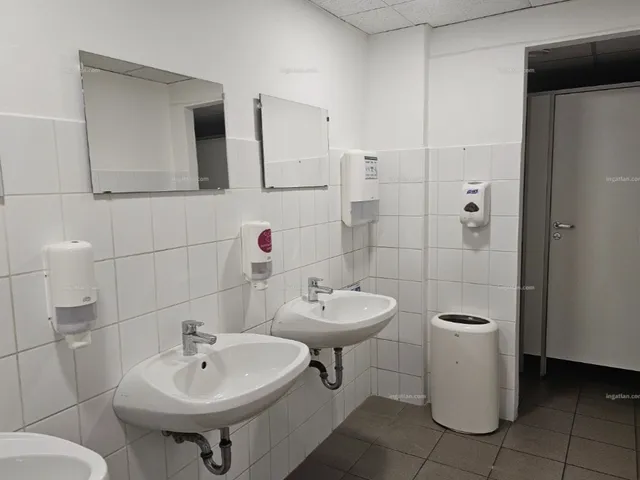Kiadó kereskedelmi és ipari ingatlan Budapest X. kerület, Gyömrői 802 nm