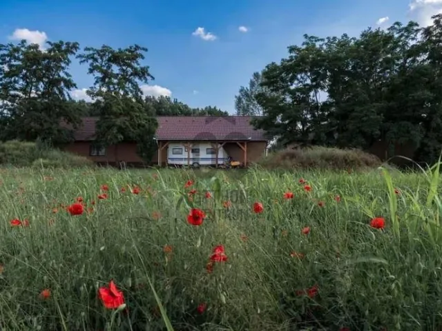 Eladó ház Kocsér 339 nm