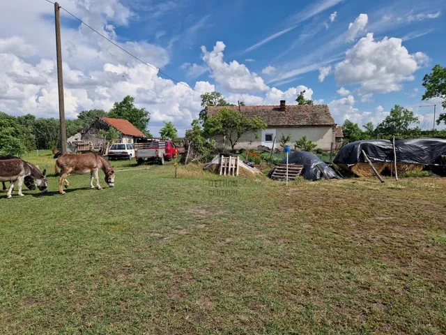 Eladó mezőgazdasági ingatlan Nyársapát 71 nm